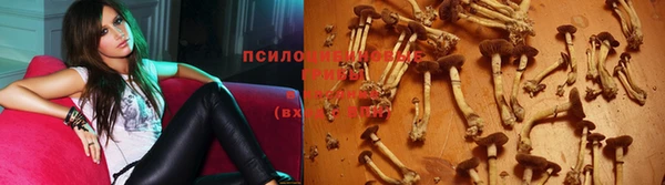 бутират Гвардейск