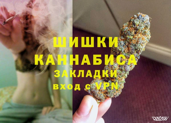 ПСИЛОЦИБИНОВЫЕ ГРИБЫ Осинники