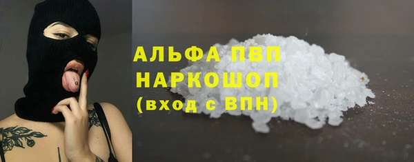 ПСИЛОЦИБИНОВЫЕ ГРИБЫ Осинники