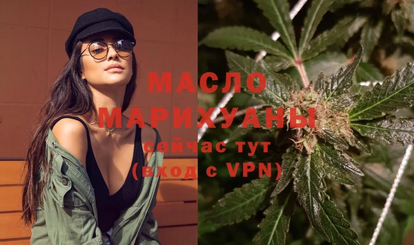 сатива Губаха