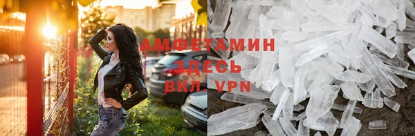сатива Губаха
