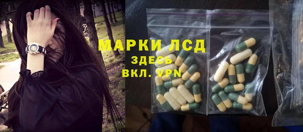 сатива Губаха