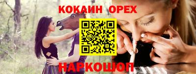 mdpv Гатчина