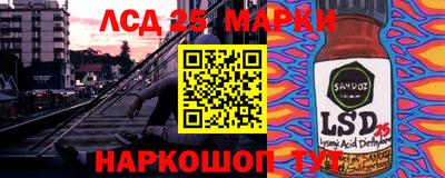 шишки Бузулук