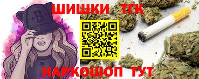 mdpv Гатчина