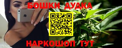 mdpv Гатчина