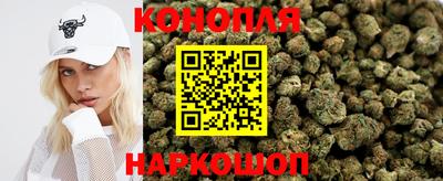 mdpv Гатчина