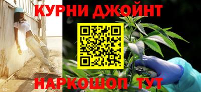 mdpv Гатчина