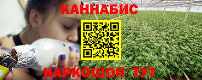 mdpv Гатчина