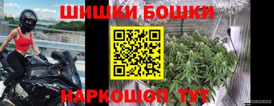 mdpv Гатчина