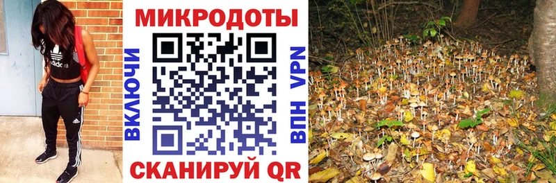 darknet состав  Корсаков  Псилоцибиновые грибы мицелий  где продают наркотики 