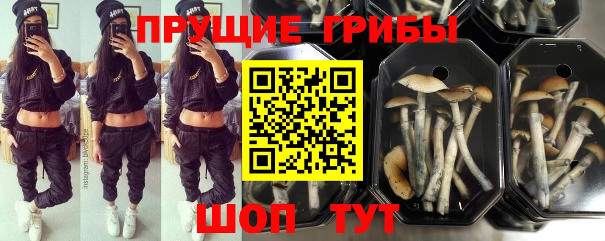 Галлюциногенные грибы MAGIC MUSHROOMS Корсаков