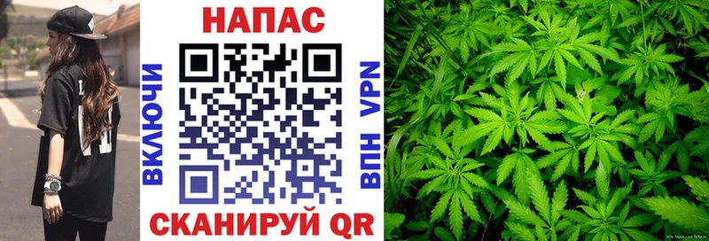 Каннабис планчик Корсаков
